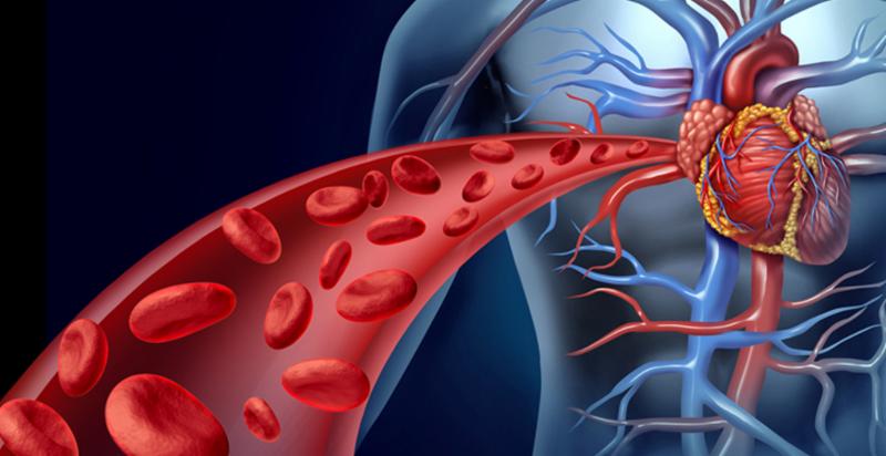 improved bloodflow with promedical PEMF therapy